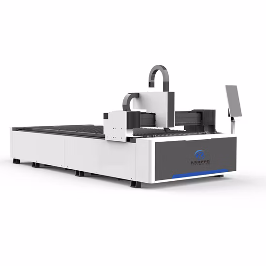 Raycus 폐쇄 1kw 1.5kw 2kw 3kw 알루미늄 스테인레스 스틸 철 1000w 1500w 2000w 3000w 판금 CNC 섬유 레이저 절단기